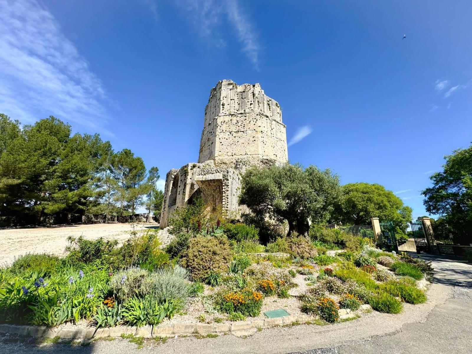 Au Coeur Du Centre Historique - Immeuble Classe - Terrasse - Climatise Nîmes Buitenkant foto